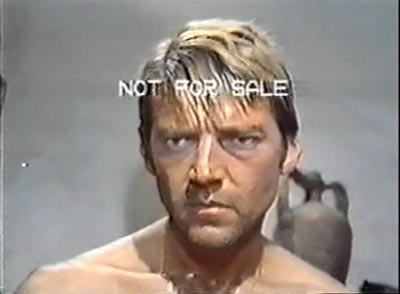 nf.jpg