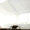 789.gif