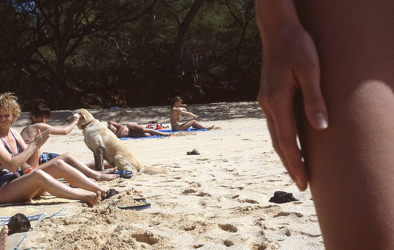 Nude Girls Tanning On The Beach - the new shelton wet/dry